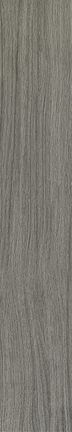 Proof Floor/Wall Tile 8x48