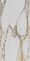 Imperial Gold Calacatta Floor/Wall Tile (Polished) 12x24