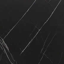 Regal Black Floor/Wall Tile (Polished) 24x24