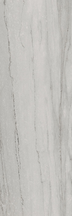 Beauty Floor/Wall Tile (Matte) 8x24