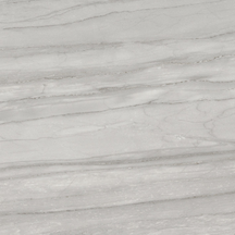 Beauty Floor/Wall Tile (Polished) 24x24