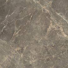 Charm Floor/Wall Tile (Matte) 24x24