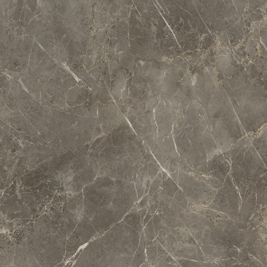 Charm Floor/Wall Tile (Polished) 24x24
