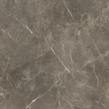 Charm Floor/Wall Tile (Polished) 24x24