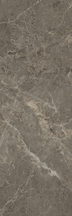 Charm Floor/Wall Tile (Polished) 8x24