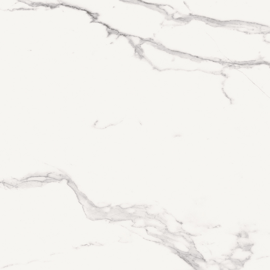 Calacatta Floor/Wall Tile (Matte) 24x24