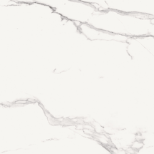 Calacatta Floor/Wall Tile (Matte) 24x24