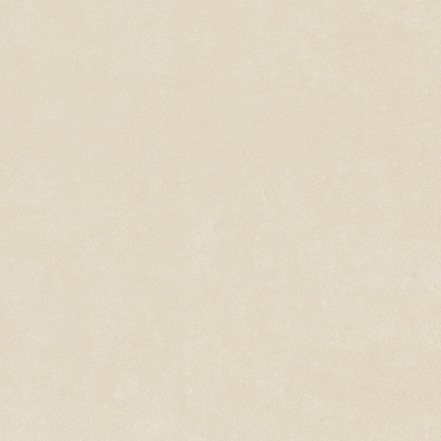 Fortune White Floor/Wall Tile 24x24