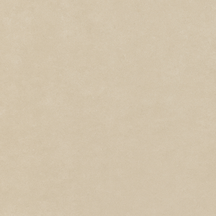 Spontaneous Beige Floor/Wall Tile 24x24